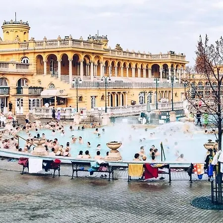 Historic Danube Luxury Chic Riverside